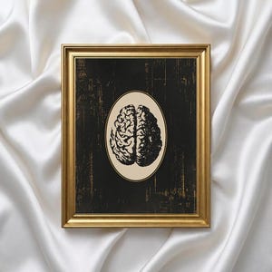 Może przedstawiać: Oprawiony wydruk z szczegółową ilustracją ludzkiego mózgu. Ilustracja mózgu ma owalny kształt, na czarnym tle ze złotą ramą. Grafika jest w stylu vintage.