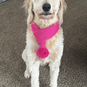 Knitted Dog Scarf | Cozy Winter Dog Accessory | Pom-Pom Dog Scarf | Gift for Dog Lovers