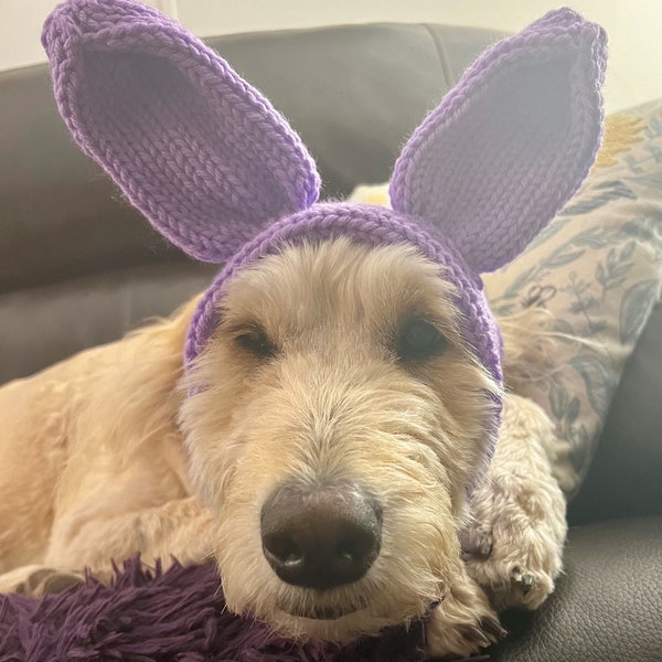 Dog Snood with Easter Bunny Ears