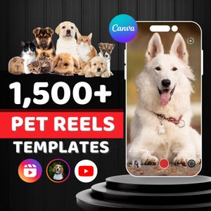 Puede incluir: Imagen promocional de plantillas de vídeo con temática de mascotas. La imagen presenta una colección de varias mascotas, incluyendo perros, gatos y un conejo, junto con un smartphone que muestra un perro blanco. El texto dice "1,500+ PET REELS TEMPLATES".