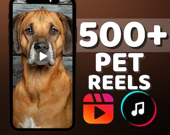 500 Pet Reels Templates: Dog Video Story, TikTok (Digital Download)