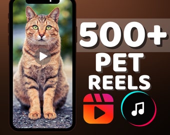 500 Cat Reels Templates: Cat & Dog Videos, Instagram Bio (Digital Download)