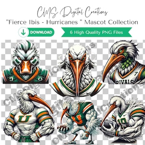 Puede incluir: Seis ilustraciones digitales de una mascota ibis blanca que lleva diferentes uniformes deportivos. La mascota se representa en varias poses, incluyendo un retrato de cabeza y hombros, una pose de cuerpo entero con los brazos cruzados y una pose de cuerpo entero sosteniendo una pelota de fútbol. Los uniformes presentan los colores verde, naranja y blanco, e incluyen el texto "Rivals" y "U".