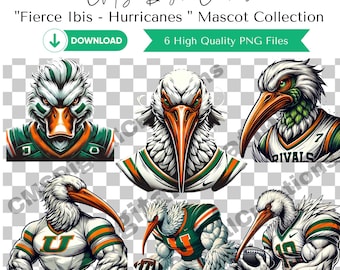 Fierce Ibis Clipart Bundle | Ibis Bird | Wildlife Art | Bird Clipart | Hurricanes Mascot png | Sublimation Bird | Bird Mascot | Ibis Mascot