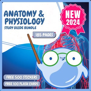 Anatomy and physiology notes l Anatomy Study Guide l Physiology Study Guide l A & P Nursing Notes Bundle NCLEX Study Guide Medical Notes