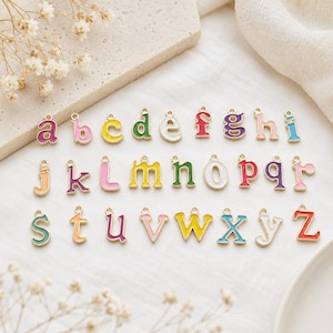 Puede incluir: Una colección de veintiséis dijes metálicos con letras del alfabeto, cada uno con un relleno de esmalte de color único. Las letras minúsculas y mayúsculas están dispuestas en tres filas, y cada dije incluye una pequeña anilla metálica.