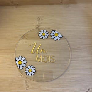 Cartes étapes Paquerettes
