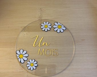 Daisy step cards