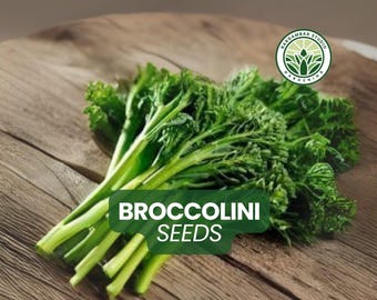 100 Broccolini Seeds: Non-GMO Baby Broccoli Hybrid - Easy Grow