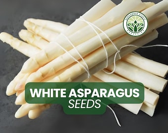 White Asparagus Seeds: 100 Rare Asparagus officinalis for Gourmet Gardens