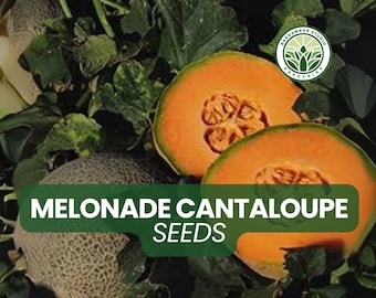 Melonade Cantaloupe Seeds: 10 Sweet Non-GMO Melon Seeds for Planting