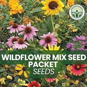 Wildflower Mix Seed Packet – Colorful Annual & Perennial Blend – Pollinator-Friendly – Easy to Grow – Non-GMO USA Seeds