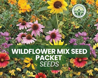 Colorful Wildflower Seed Mix – Annual & Perennial Blend, Pollinator-Friendly