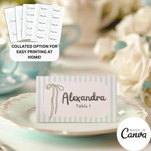 Modelo de cartão de casamento com nome de coquete, conjunto de mesa com fita desenhada à mão, cartão para buffet de comida de restaurante, atribuição de reserva de assentos, 304