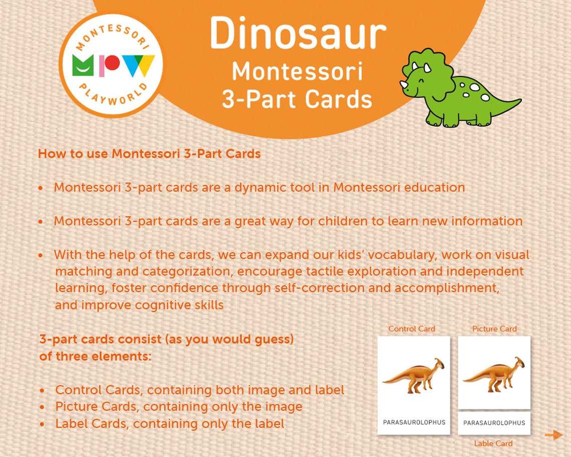 Dinosaur Montessori 3-part Cards Preschool Printables Dinosaur ...