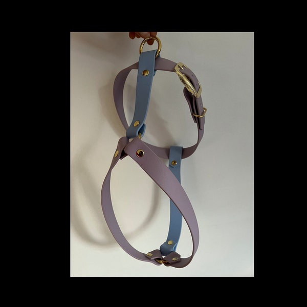 CUSTOMIZABLE handmade Biothane harness