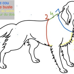 Harnais PERSONNALISABLE en Biothane fait main image 6