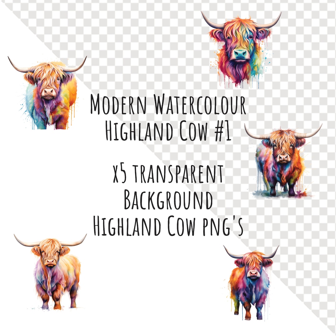 Highland Cow 1 Clipart Bundle 5 Transparent Background PNG Digital ...