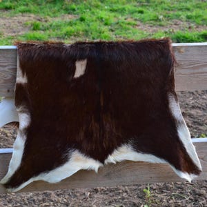 Pelle di capra! Perfetto arredamento accogliente per la casa, regalo di Natale, regalo, tappeto da orso, tappeto accogliente, pelle di pecora, pelliccia