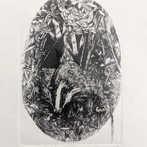 Puede incluir: Grabado en blanco y negro de un tejón en un entorno boscoso. El tejón está mirando al espectador y está parcialmente oculto por el follaje. El grabado está firmado "Kate Emily" y fechado "4/4/2023".