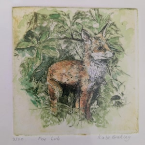 Puede incluir: Una impresión de acuarela de un cachorro de zorro de pie en un bosque verde. La impresión se titula "Fox Cub" y está firmada "Kate Bradley" con el número "2/20" en la esquina inferior izquierda.