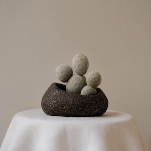 Può includere: Un piccolo vaso in ceramica marrone scuro, arrotondato e con una consistenza ruvida e maculata. All'interno del vaso si trova un cactus verde chiaro a più lobi con un distinto motivo circolare a fossette sulla superficie, simile a piccole sfere.