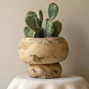 Può includere: Un cactus fico d'India verde con diverse pale piatte e arrotondate piantato in un vaso di ceramica beige, rotondo e testurizzato. Il vaso presenta una sezione superiore ampia e bulbosa che poggia su una base più piccola e arrotondata.
