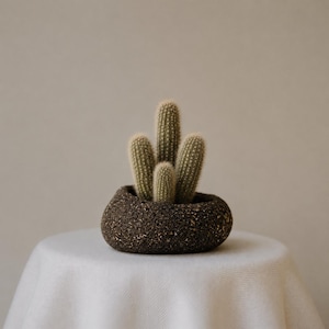 Op de afbeelding: Een kleine, groene cactus met meerdere stengels in een donkerbruine, getextureerde, ronde plantenbak van steenachtig materiaal. De cactus heeft een cilindrische vorm met fijne, lichte stekels en de plantenbak heeft een ruwe, gespikkelde afwerking.