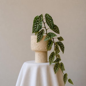 Vaso in gres fatto a mano con base a piedistallo / Vaso per piante in ceramica fatto a mano per irrigazione a stoppino