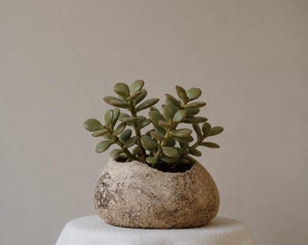 Handmade Succulent Planter | Stoneware Cactus Pot | Organic Ceramic Planter
