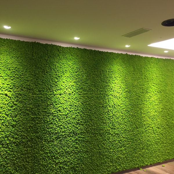 Lichen mousse stabilisé, art mural végétal pour intérieurs, panneaux de mousse kit DIY, mousse naturelle, décoration maison 75 x 75 cm.| Fabriqué à la main en Italie