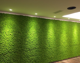 Lichen mousse stabilisé, art mural végétal pour intérieurs, panneaux de mousse kit DIY, mousse naturelle, décoration maison 75 x 75 cm.| Fabriqué à la main en Italie