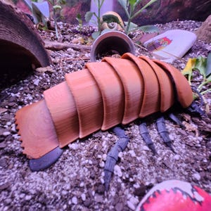 Giant 3D Printed Isopod – 7 inch Fully Articulated, Fun & Collectible!