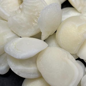 May include: A close-up shot of a pile of smooth, off-white, shell-like stones. The stones have a pearlescent sheen and varying shapes, with some appearing more rounded and others flatter. The lighting highlights the texture and subtle color variations.