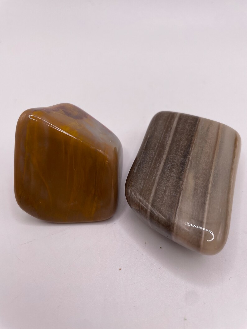 Two Petrified Wood Stones Tumbled and Polished Arizona Rainbow and Utah ...