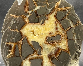 Utah Septarian Nodule Lightning Stone: Face Polished Specimen