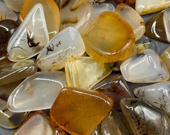 Montana Dendritic Moss Agates: 34 Tumbled and Polished Small Stones, 6oz