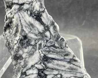 Pinolite: Face Polished Specimen