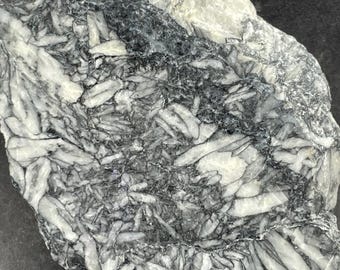 Pinolite: Face Polished Specimen