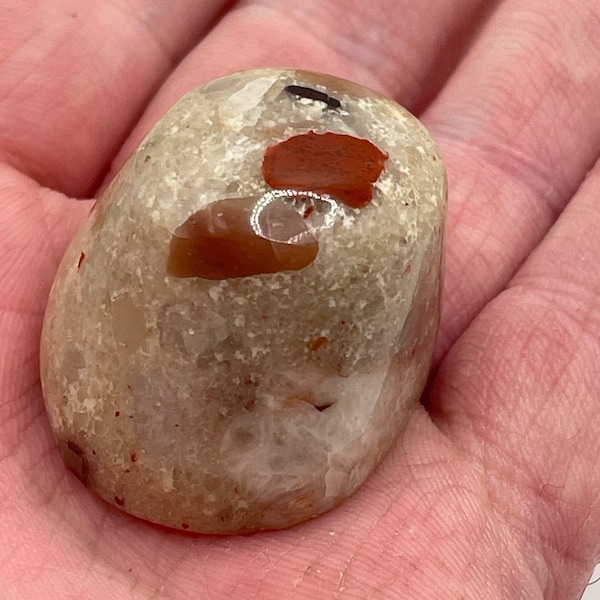 Baby Michigan Pudding Stone - Mound - Polished - Chunks of Quartz, Jasper, Felspar, and Chert