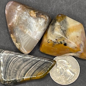 オハイオ・レインボー・フリント：ネザーズ・ファーム・フリント・リッジ産の研磨・研磨された3つの石