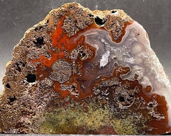 Agua Nueva Moss Agate: Face Polished Specimen, From Mexico