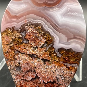 May include: A polished teardrop-shaped agate slab featuring a smooth, translucent upper section with concentric bands of pale pink and white, transitioning into a textured, porous lower region filled with deep rust, orange, and brown mineral inclusions.