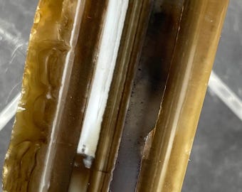 Montana Dendritic Moss Agate: Polished Specimen, Waterline Banding