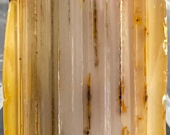 Montana Dendritic Moss Agate: Polished Specimen, Waterline Banding