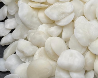 Piedras de la suerte del lago Erie: 10 huesos de otolito de distintos tamaños