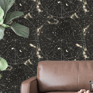 Vintage Star Space Wallpaper, Planets Galaxy Astrological Chart, Black and White StarMap Starry Night Sky Map: The Shine