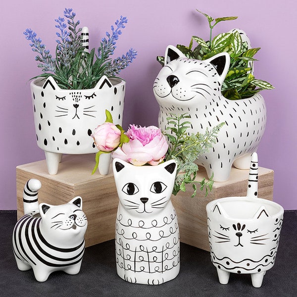Quirky Cat Planter Pots Collection - Black and White Cute Smiling Cats, Small or Large Indoor Pots