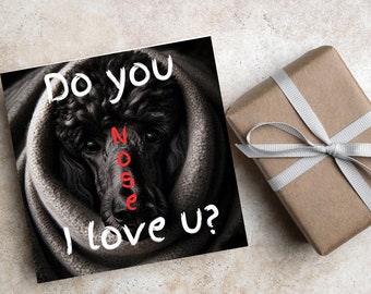 Dog card or love note, black standard poodle face with, do you nose I love you?