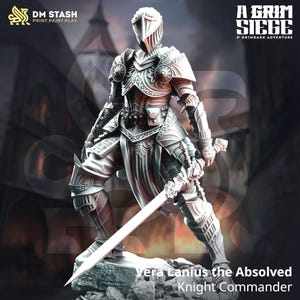 Female Fighter, Paladin Miniature (Vera Lanius the Absolved) DnD Figure.